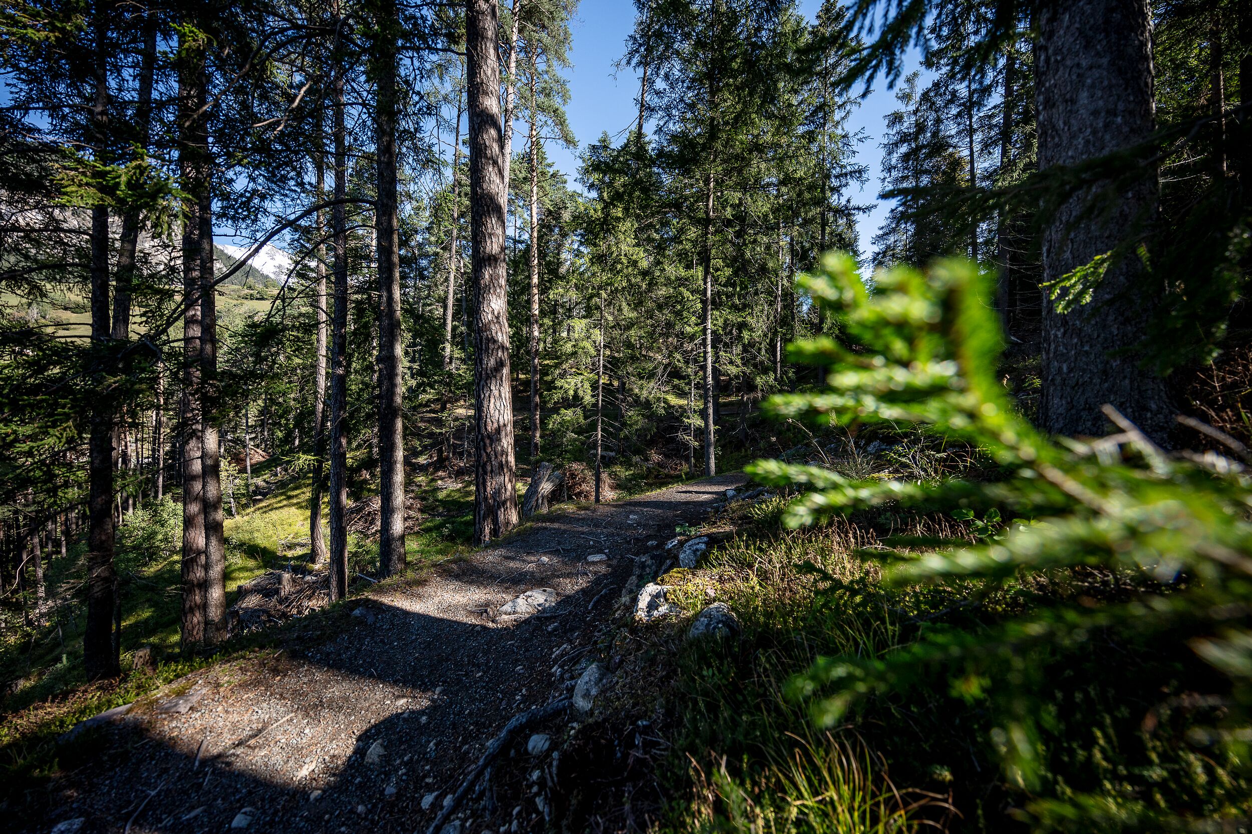 Ein Wanderweg in Graubünden.
