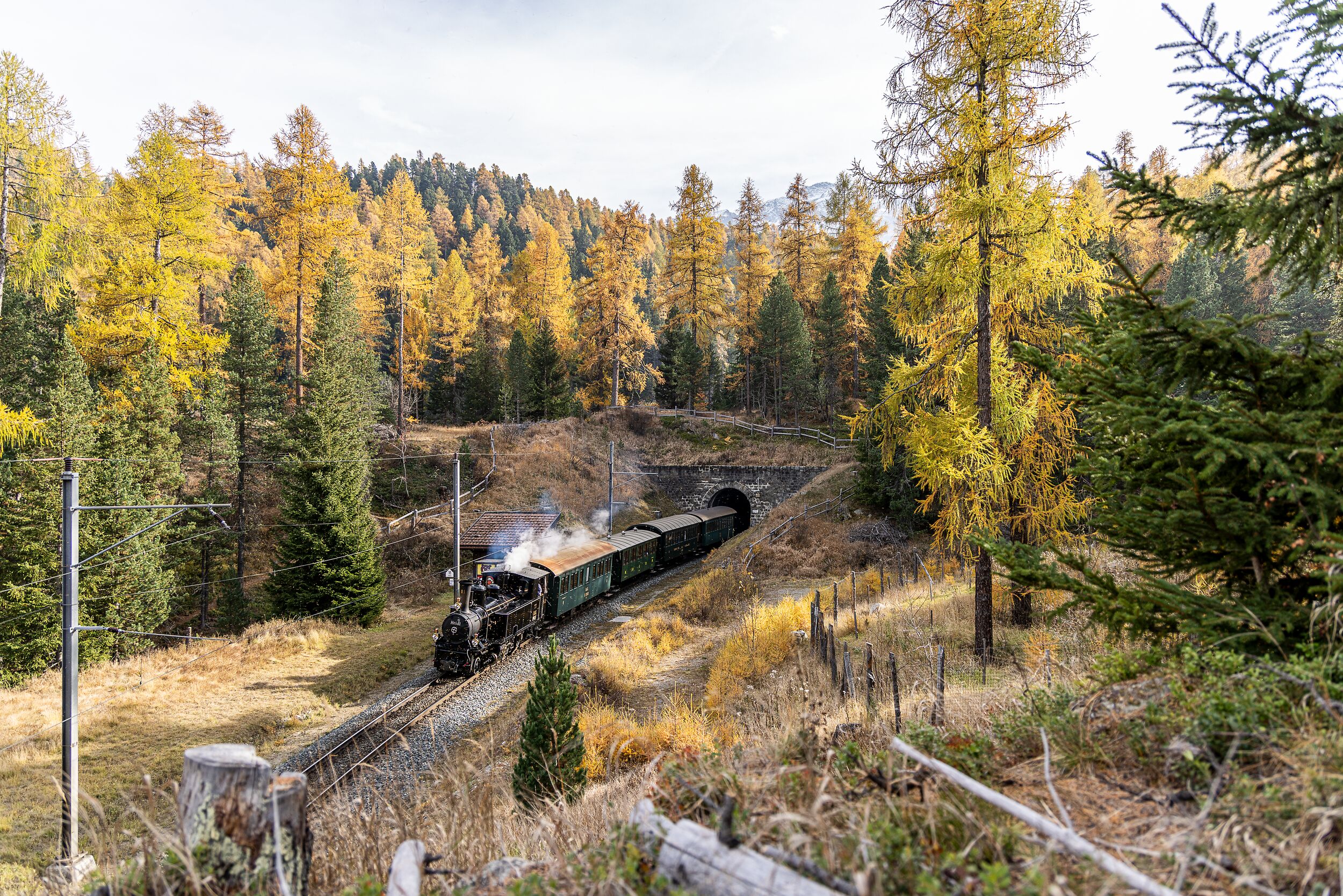 Steam engine “Heidi” travels through the autumnal Engadin with its golden larches