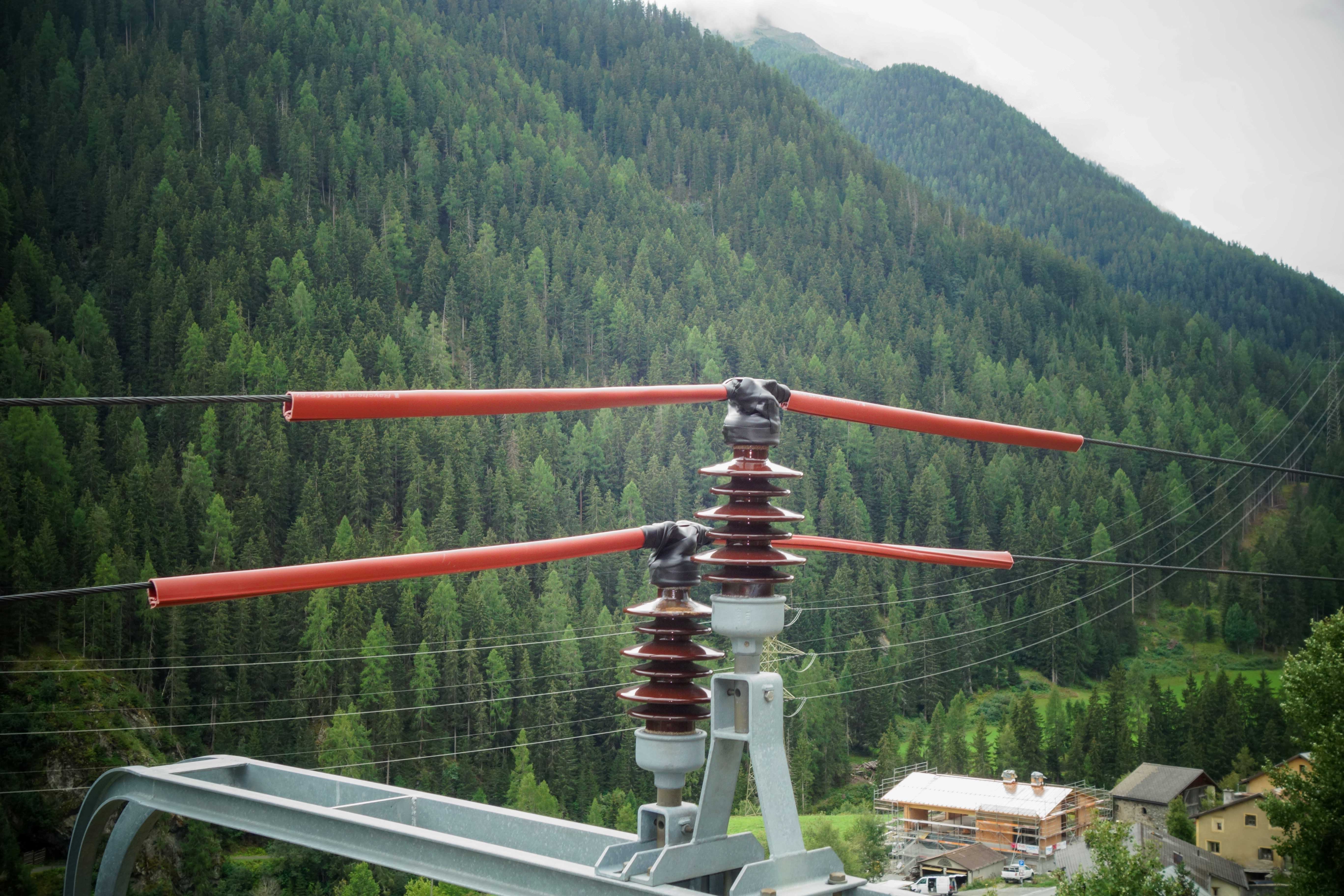 Ein Fahrleitungsmasten schützt mit speziell entwickelten Abdeckungen die Uhus.