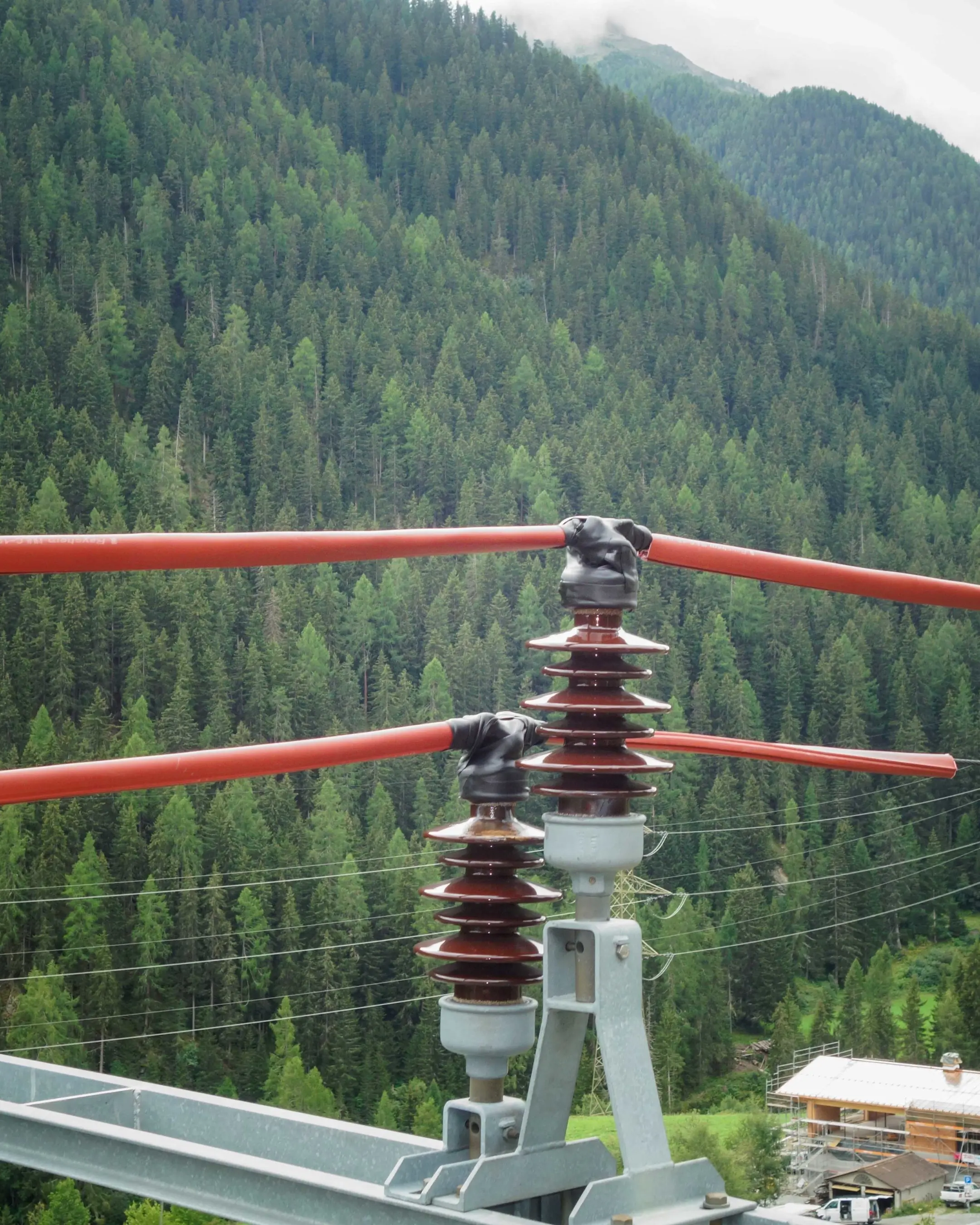 Ein Fahrleitungsmasten schützt mit speziell entwickelten Abdeckungen die Uhus.