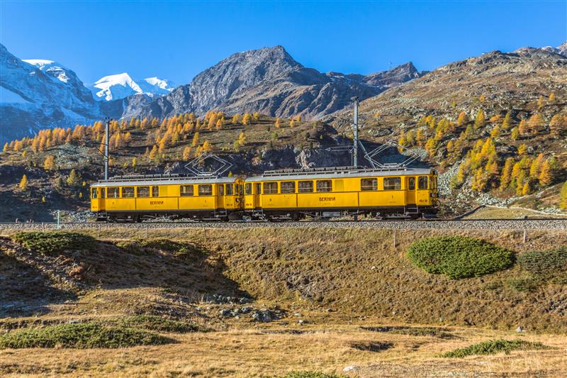 Die gelben Wagen des Bernina Nostalgiezugs fahren durch die herbstliche Landschaft im Engadin. 