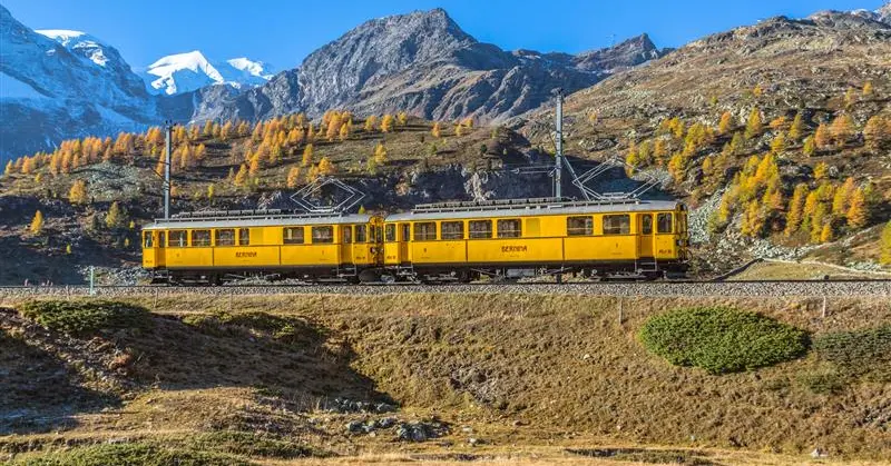 Die gelben Wagen des Bernina Nostalgiezugs fahren durch die herbstliche Landschaft im Engadin.