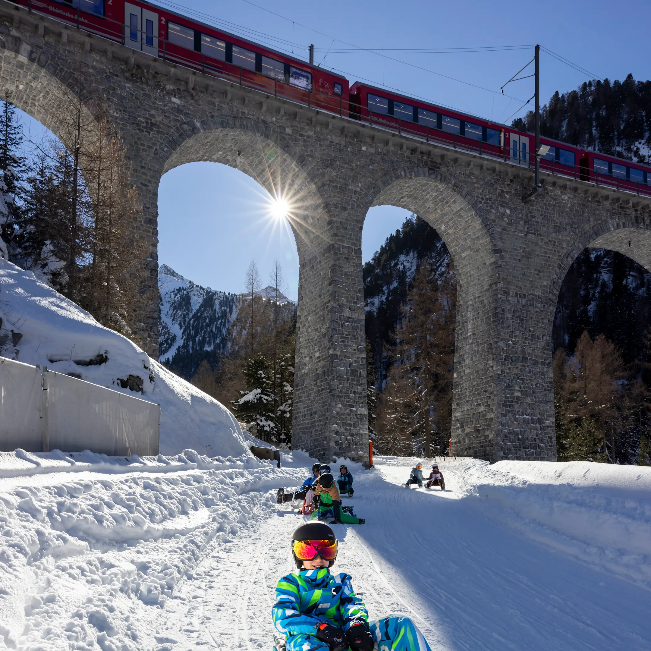 Vier Schlittler rodeln auf ihren Schlitten einen Hang hinab, im Hintergrund ein RhB Zug auf einer Brücke