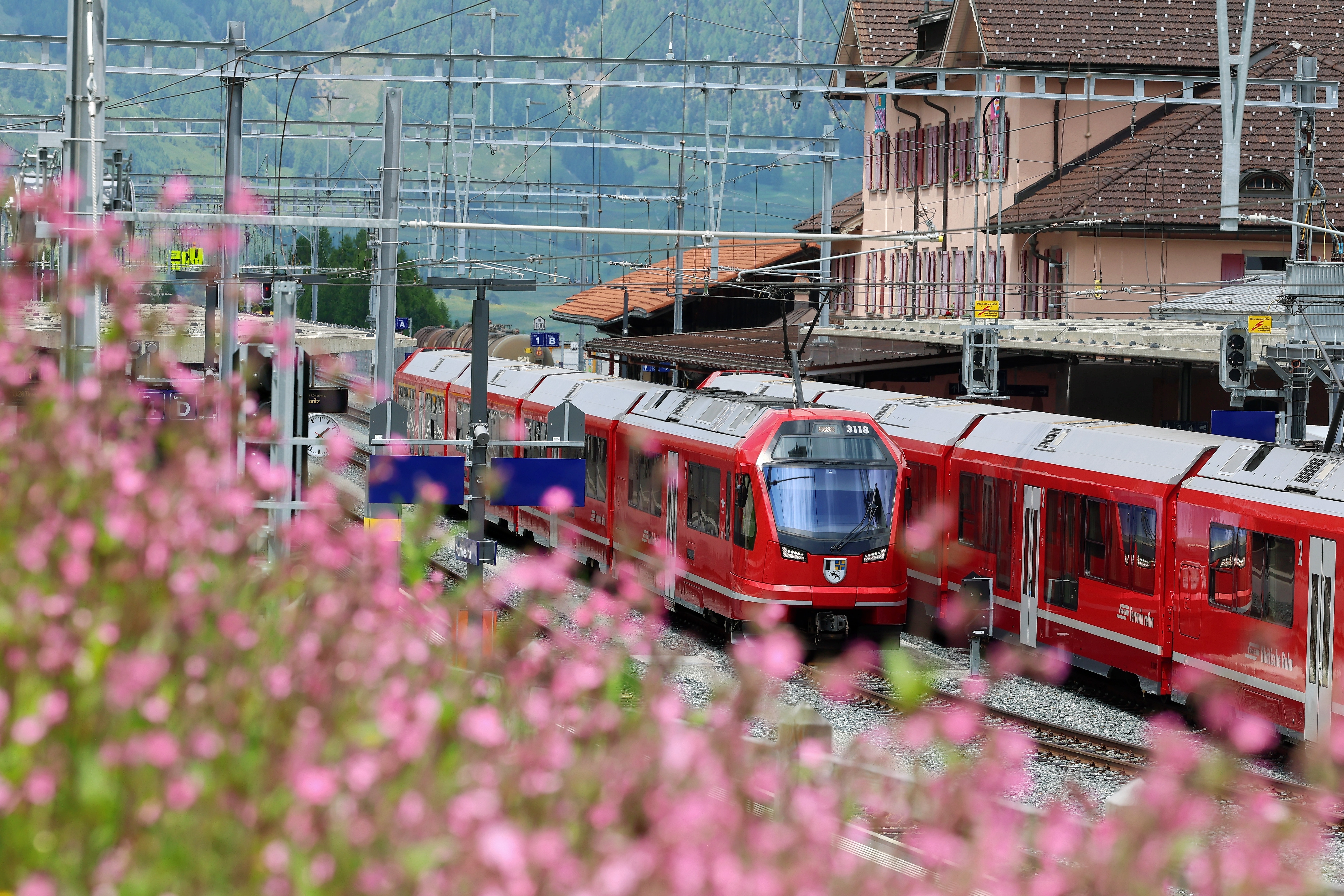 Ein Zug der Rhätischen Bahn bei der Bahnhofseröffnung in Pontresina mit Blumen im Vordergrund