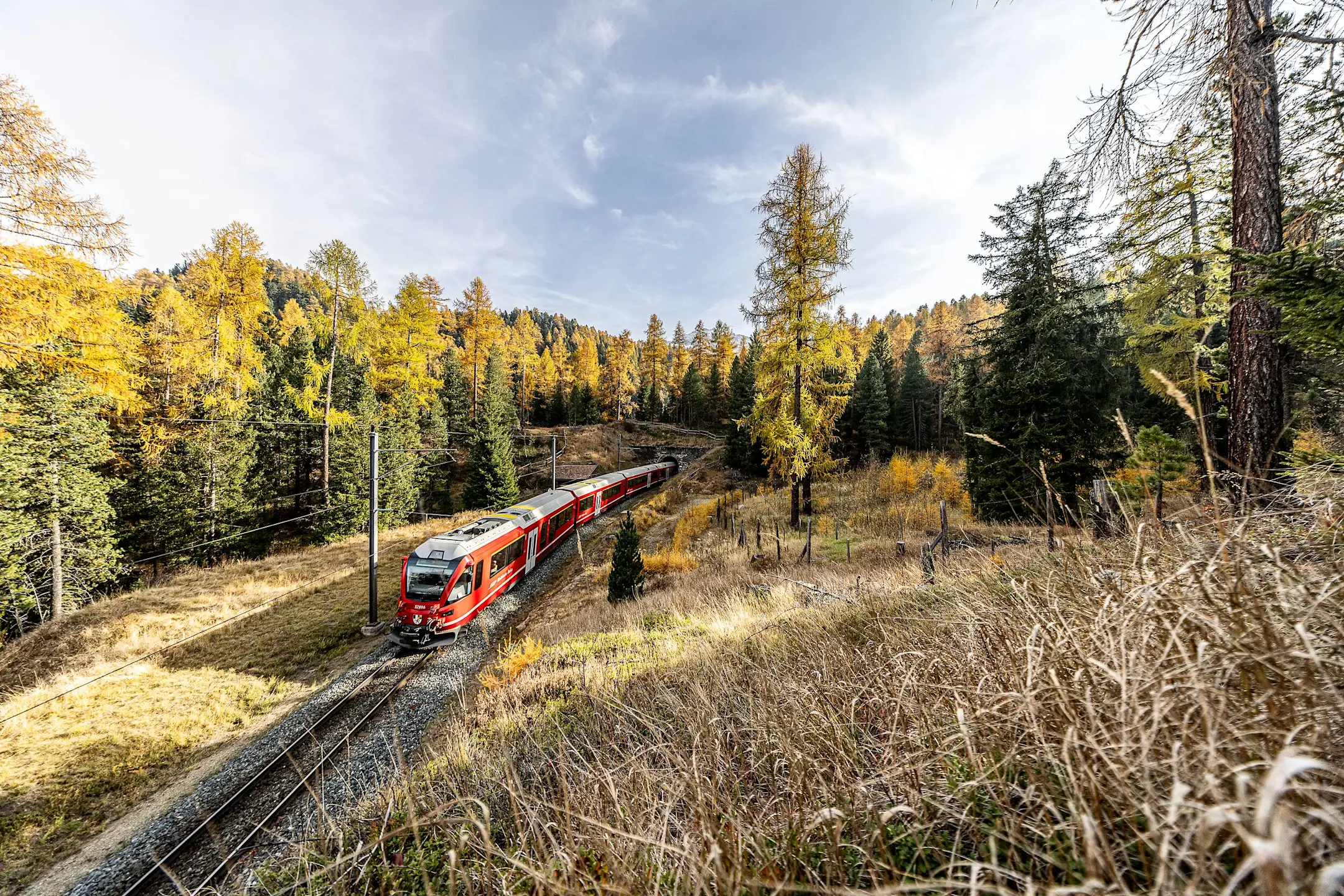 Ein roter RhB Zug fährt durch die gelben Lärchenwälder im Engadin.