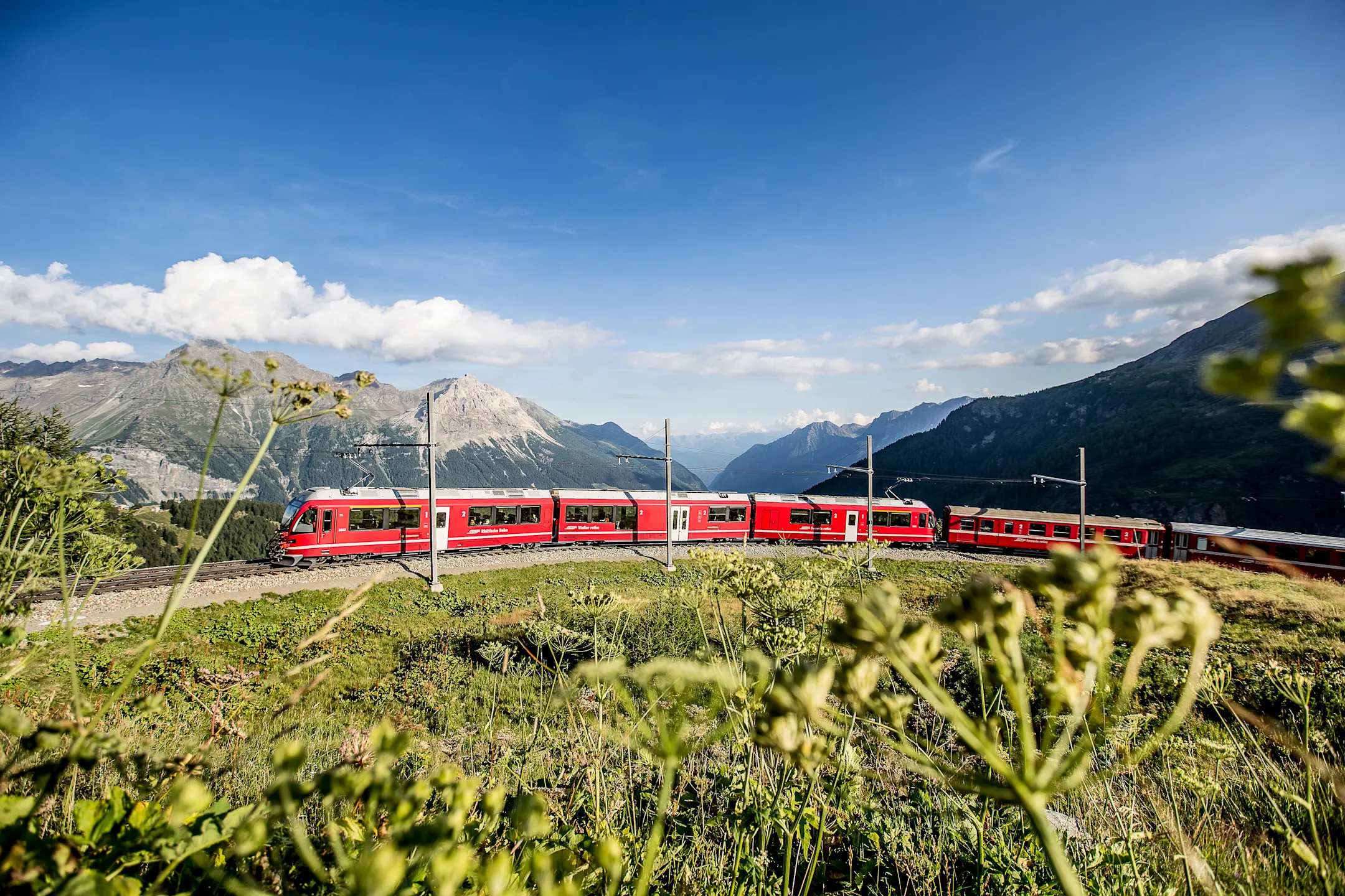 Regionazug auf der Alp Grüm im Sommer.