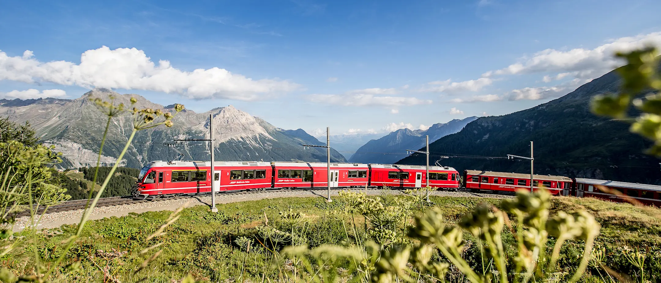 Regionazug auf der Alp Grüm im Sommer.