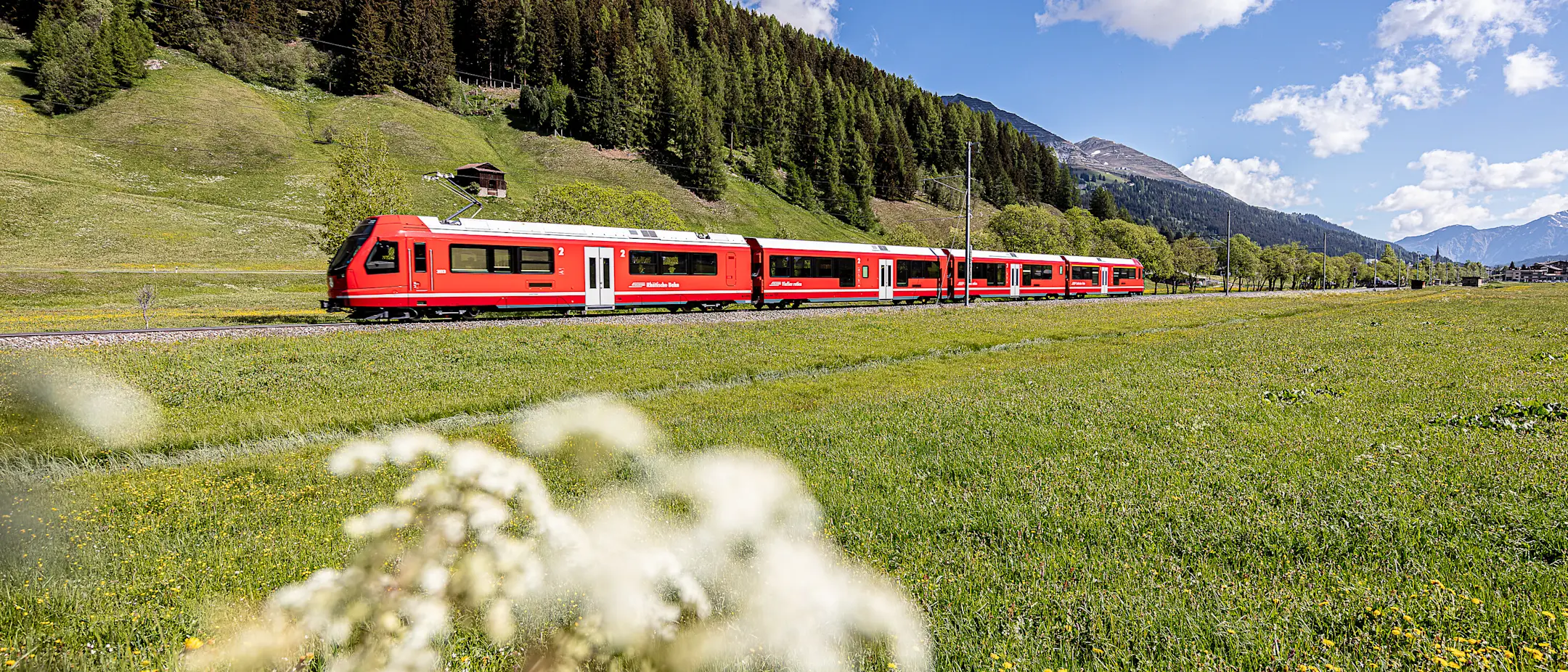Capriconr-Triebzug Blumenwiese