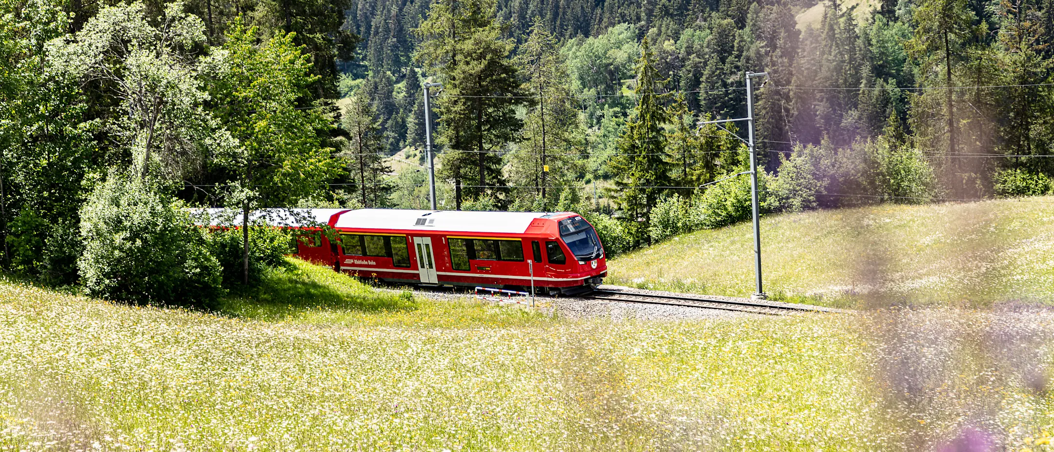 Capricorn bei Filisur im Sommer