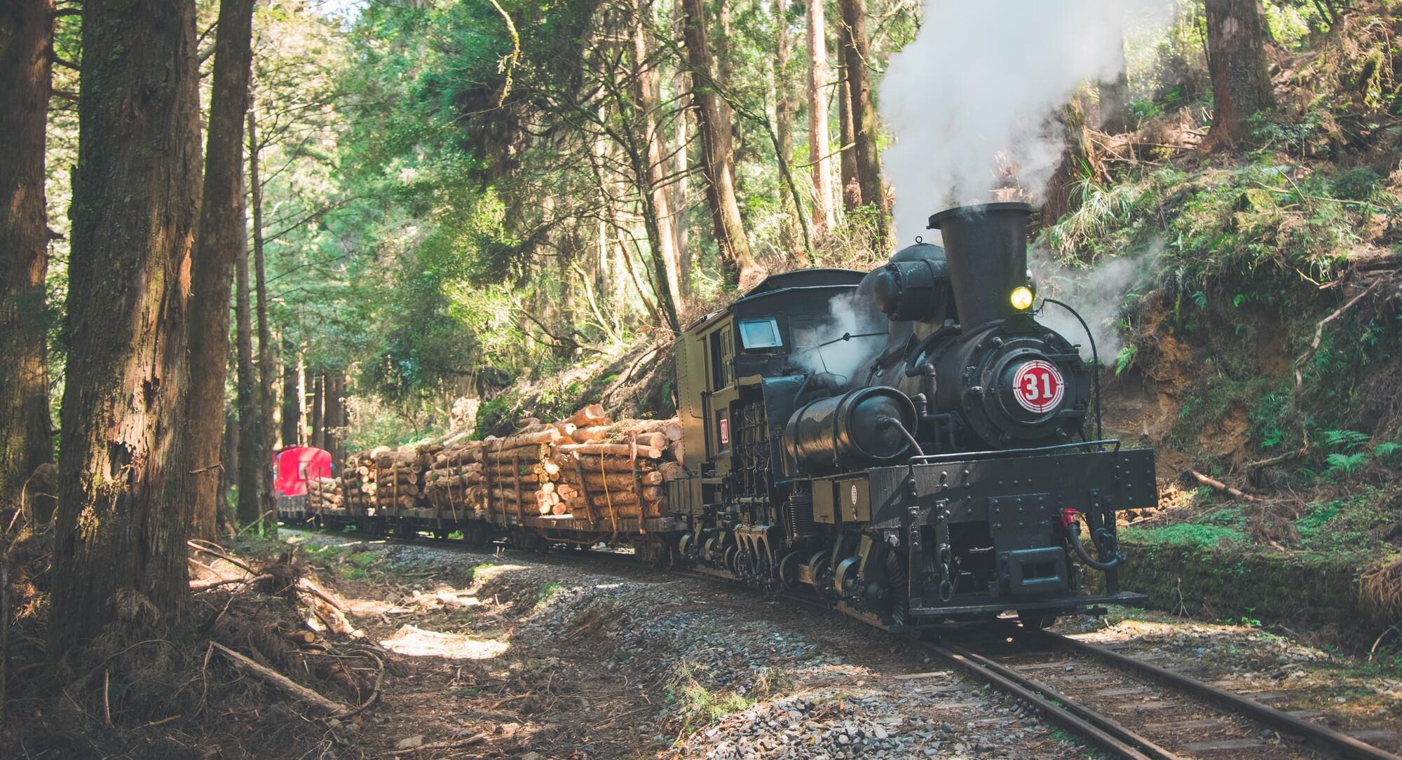 Alishan Forest Railway Dampflok mit Holzladung im Wald in Taiwan