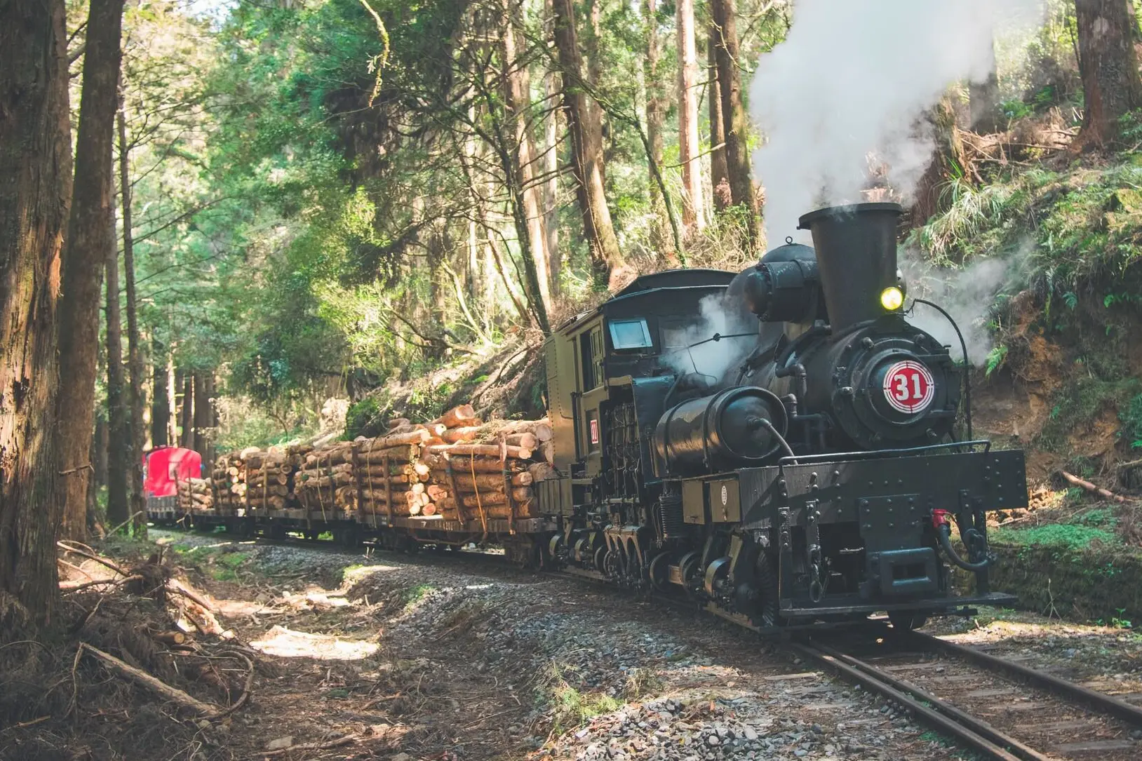 Alishan Forest Railway Dampflok mit Holzladung im Wald in Taiwan