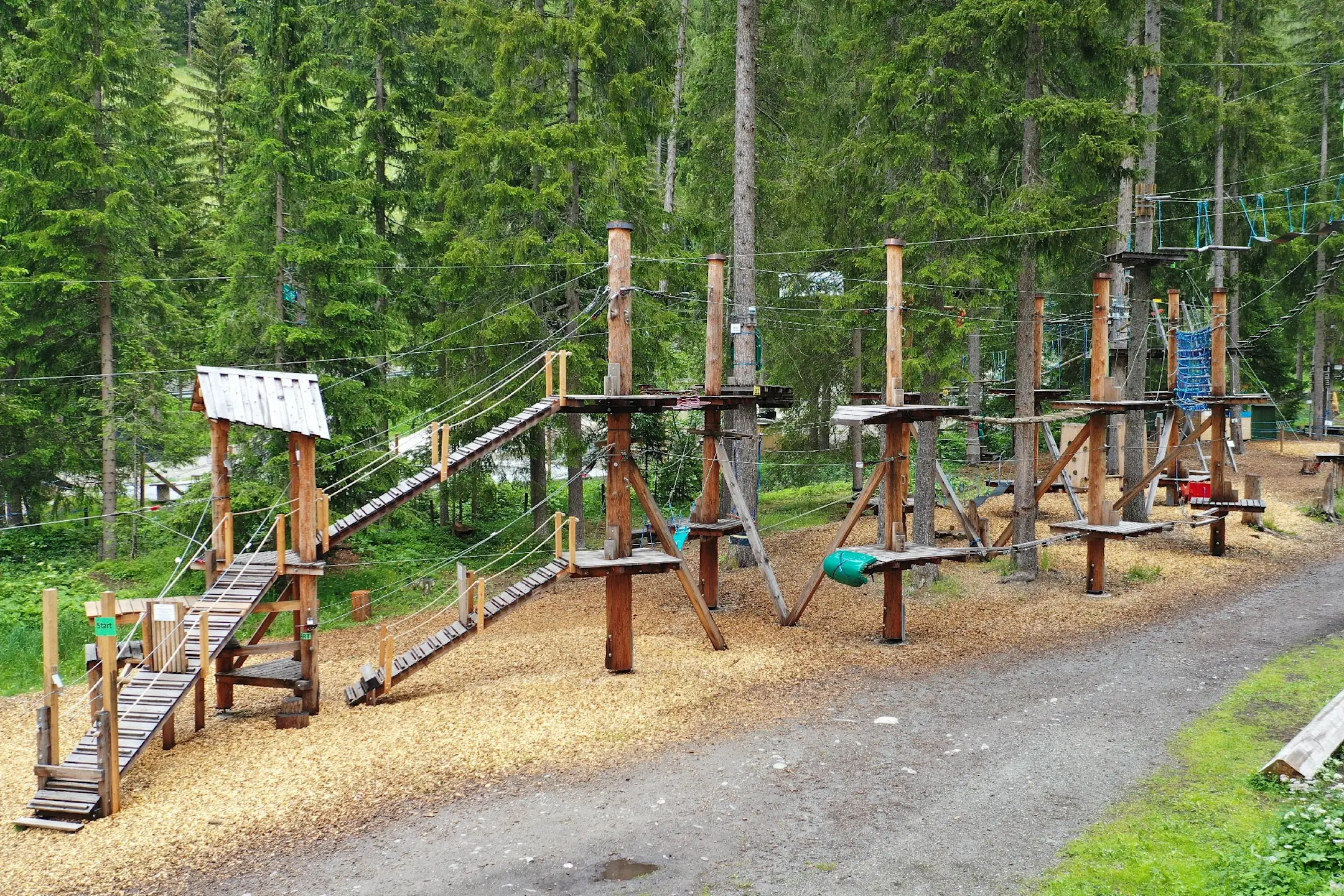 Nel folto del bosco, potrete scoprire i vari elementi del Davos Adventure Park.