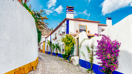portugal-lane-article-image