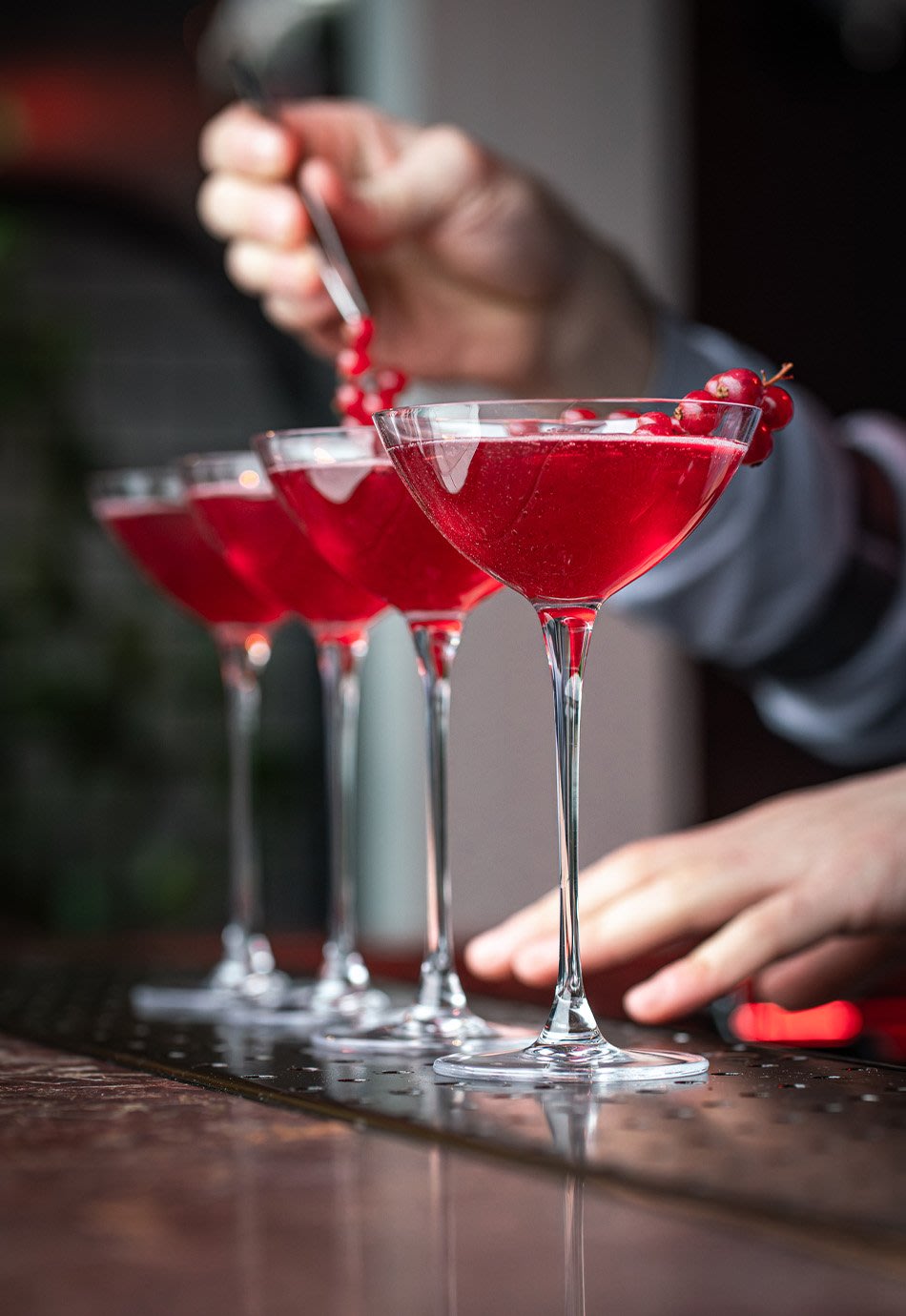 Bartender making Cranberry cocktails