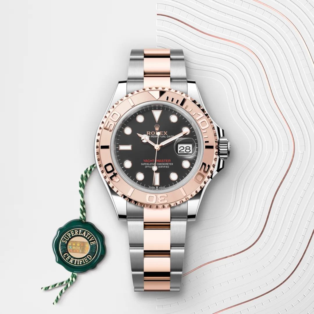 Image of a Rolex watch with a certificate hang-tag