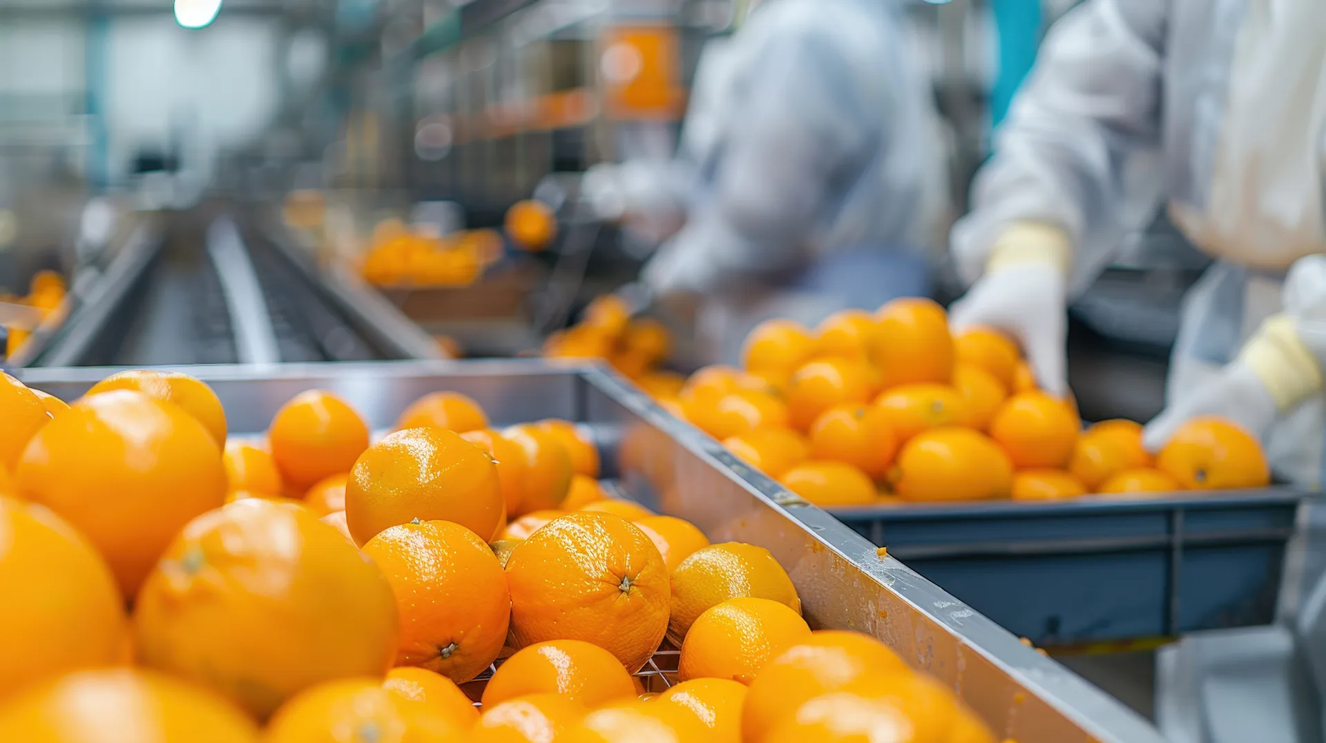 fresh-orange-processing-facility-workers-sorting-peeling-oranges-ai-generative