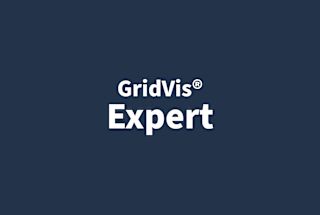 gridvis-expert-2