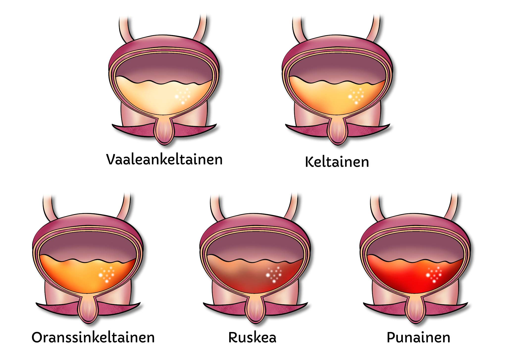 Tietoa Verivirtsaisuudesta tietoa-verivirtsaisuudesta