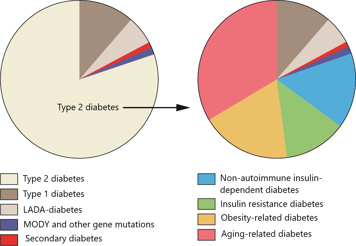 Many different diabetes types