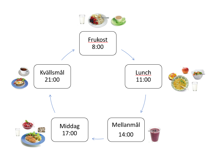Exempelbilder av dagens fem måltider. Frukosten består av en tallrik havregrynsgröt med bär och en kopp kaffe. Lunchen består av soppa, sallad, en smörgås, ett äpple och vatten att dricka. Som mellanmål en bärsmoothie .Middagen består av en laxmedaljong, potatis och sallad. Därtill en smörgås, bärkräm och vatten att dricka. Som kvällsmål en karelsk pirog, ett ägg, grönsaker och te.