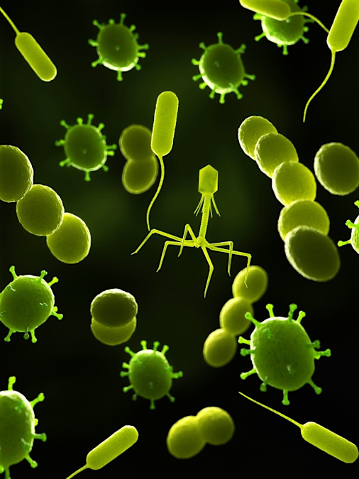 Sepsis