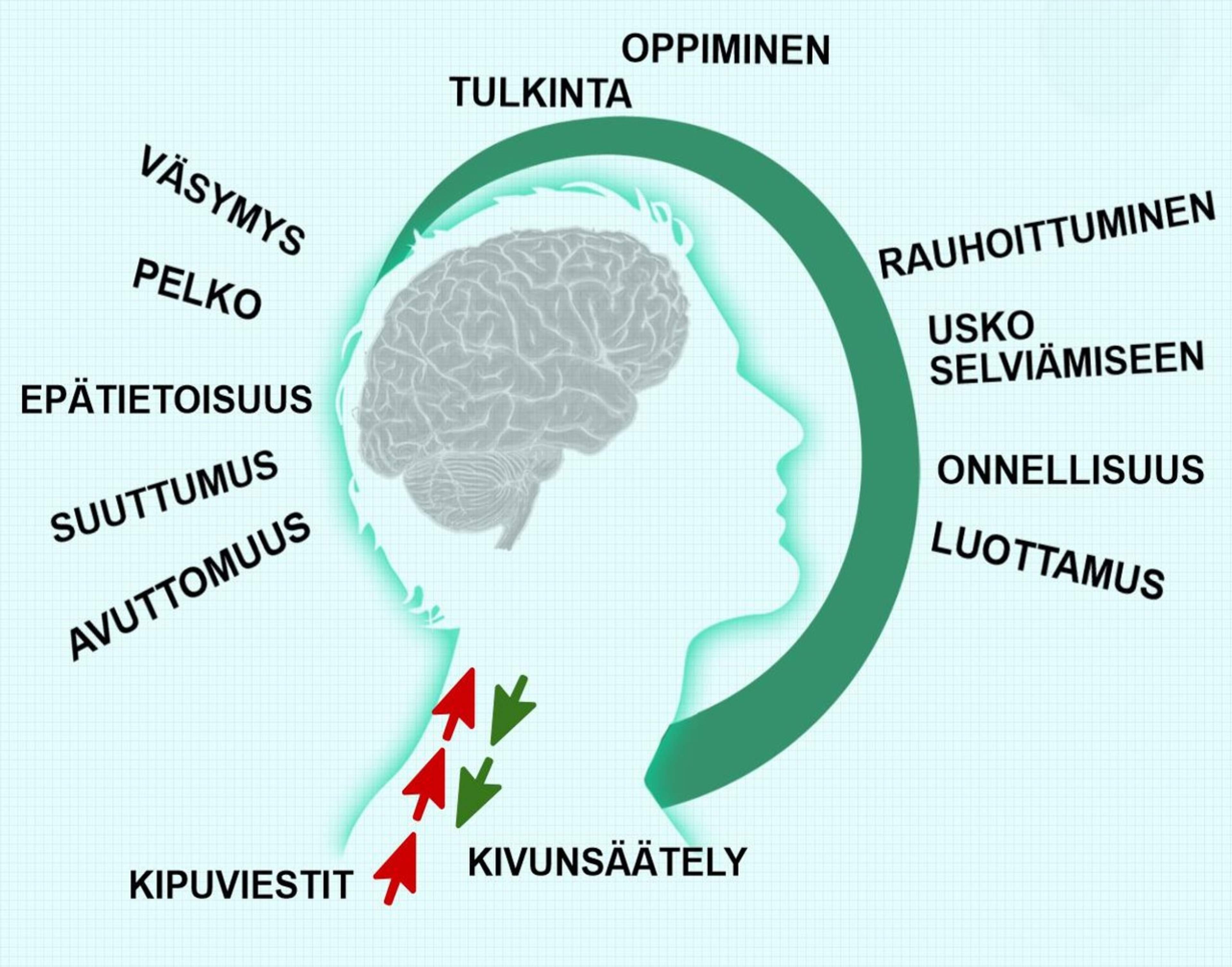 Tunteet ja heräävät ajatukset vaikuttavat kipuviestien käsittelyyn aivoissa ja kivunsäätelyjärjestelmän toimintaan.