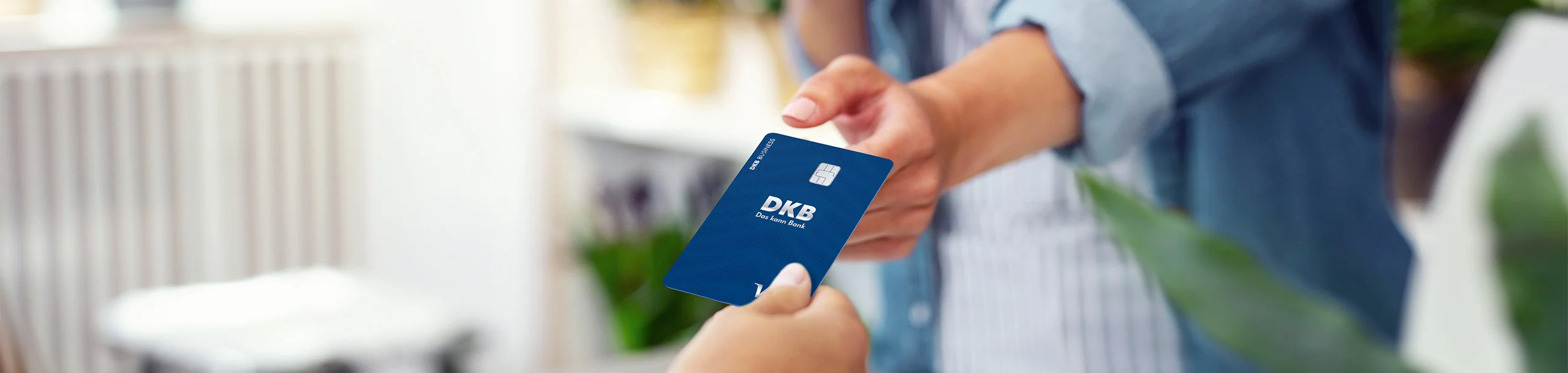 Bezahlvporgang mit der DKB-VISA-Business-Card