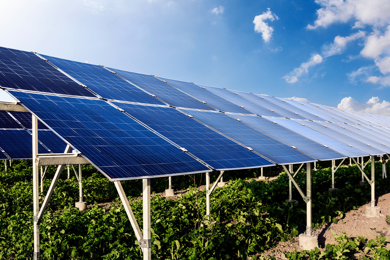 Aufgeständerte Agri-PV-Anlage über einem Feld