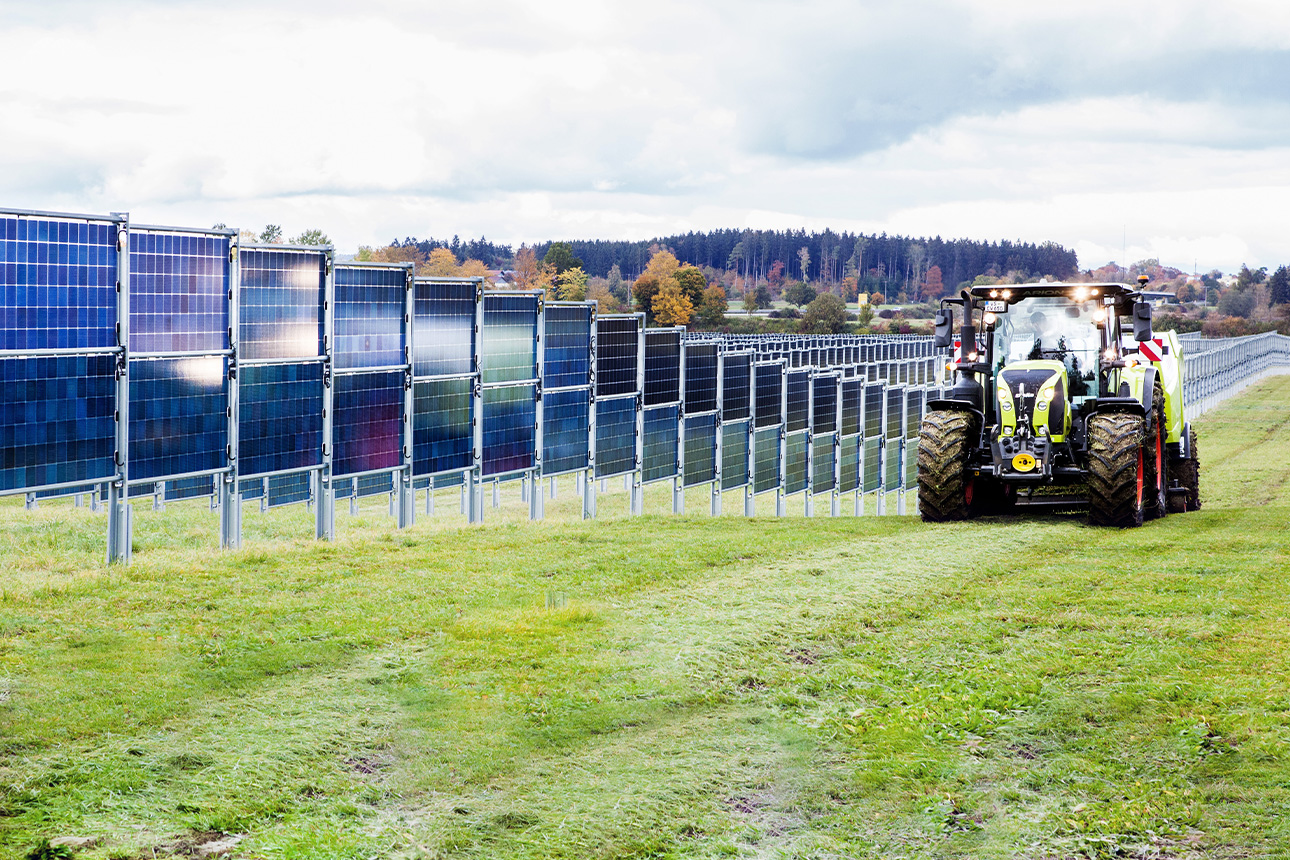 Vertikale Agri-PV-Anlage auf einem Feld