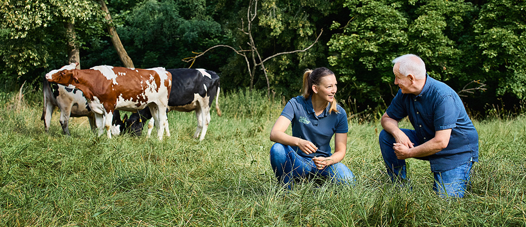 Mann und Frau unterhalten sich auf einer Wiese miteinander