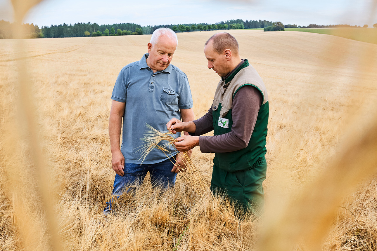 Landwirte im Feld