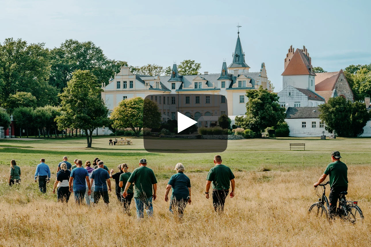 Eine Gruppe von Menschen laufen über ein Feld