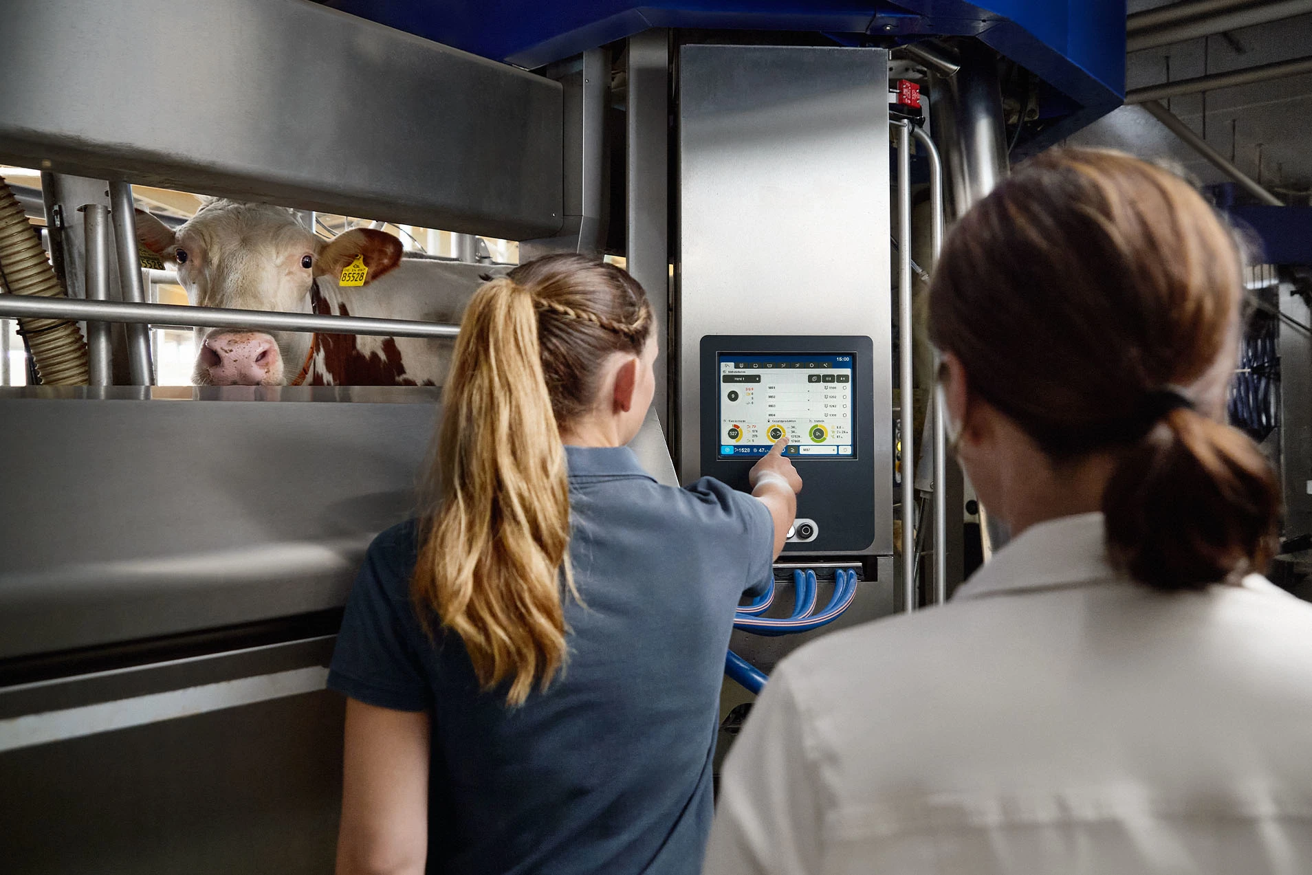 Mitarbeiterinnen bedienen Melkroboter im Kuhstall