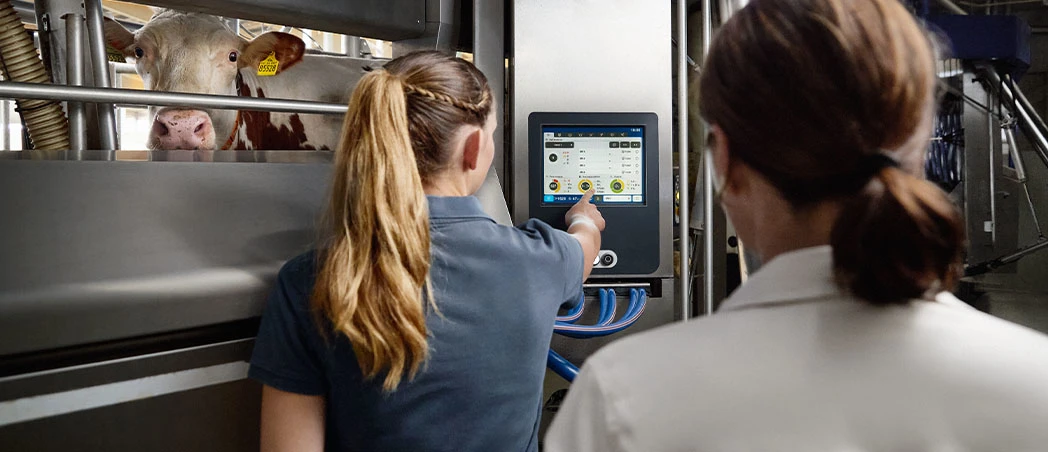 Mitarbeiterinnen bedienen Melkroboter im Kuhstall