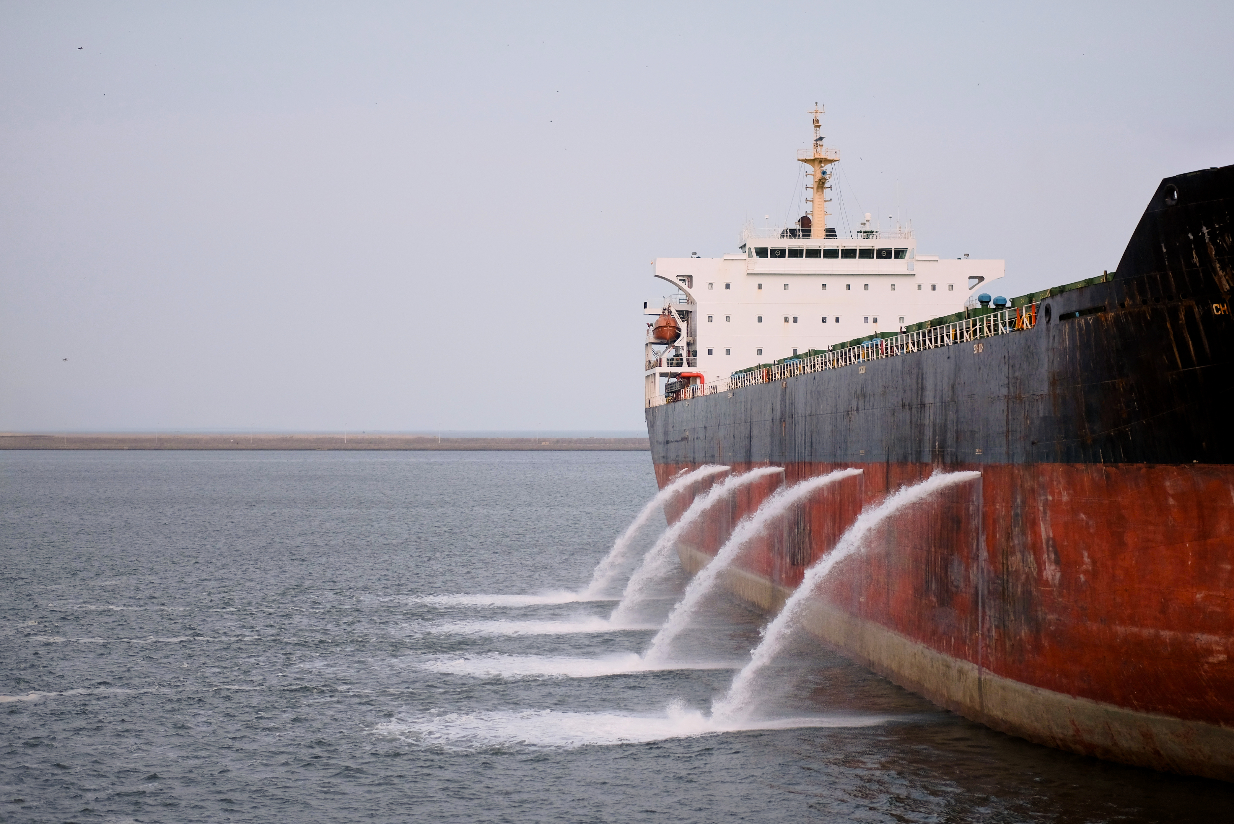 Ballast water management on the PSC agenda | Gard's Insights