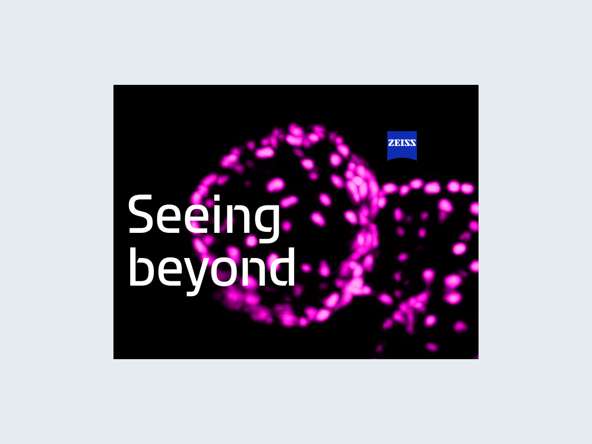 Logo without a tagline - Image 02