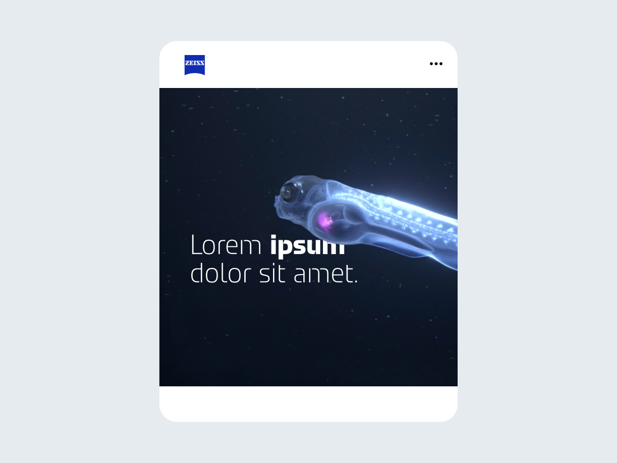 No logo, no tagline - Image 01