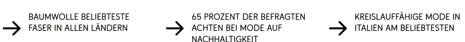 Diagramm zeigt drei Schritte: Technische Realisierung, Akzeptanz der Betroffenen und Megatrends sowie andere Faktoren.