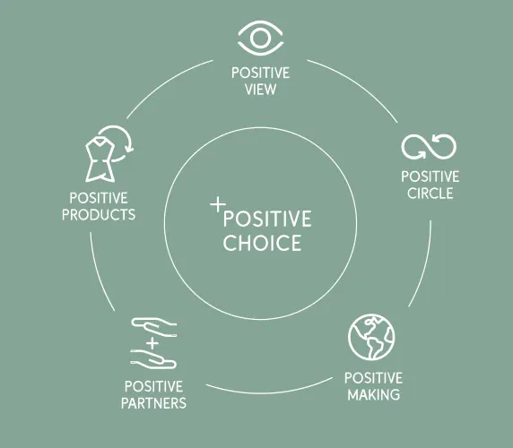 Das Bild zeigt eine grüne Grafik mit dem Titel "Positive Choice" in der Mitte. Es ist von einem Kreis aus fünf Elementen umgeben: Positive View, Positive Circle, Positive Making, Positive Partners und Positive Products. Zu jedem Element gehört ein Symbol.