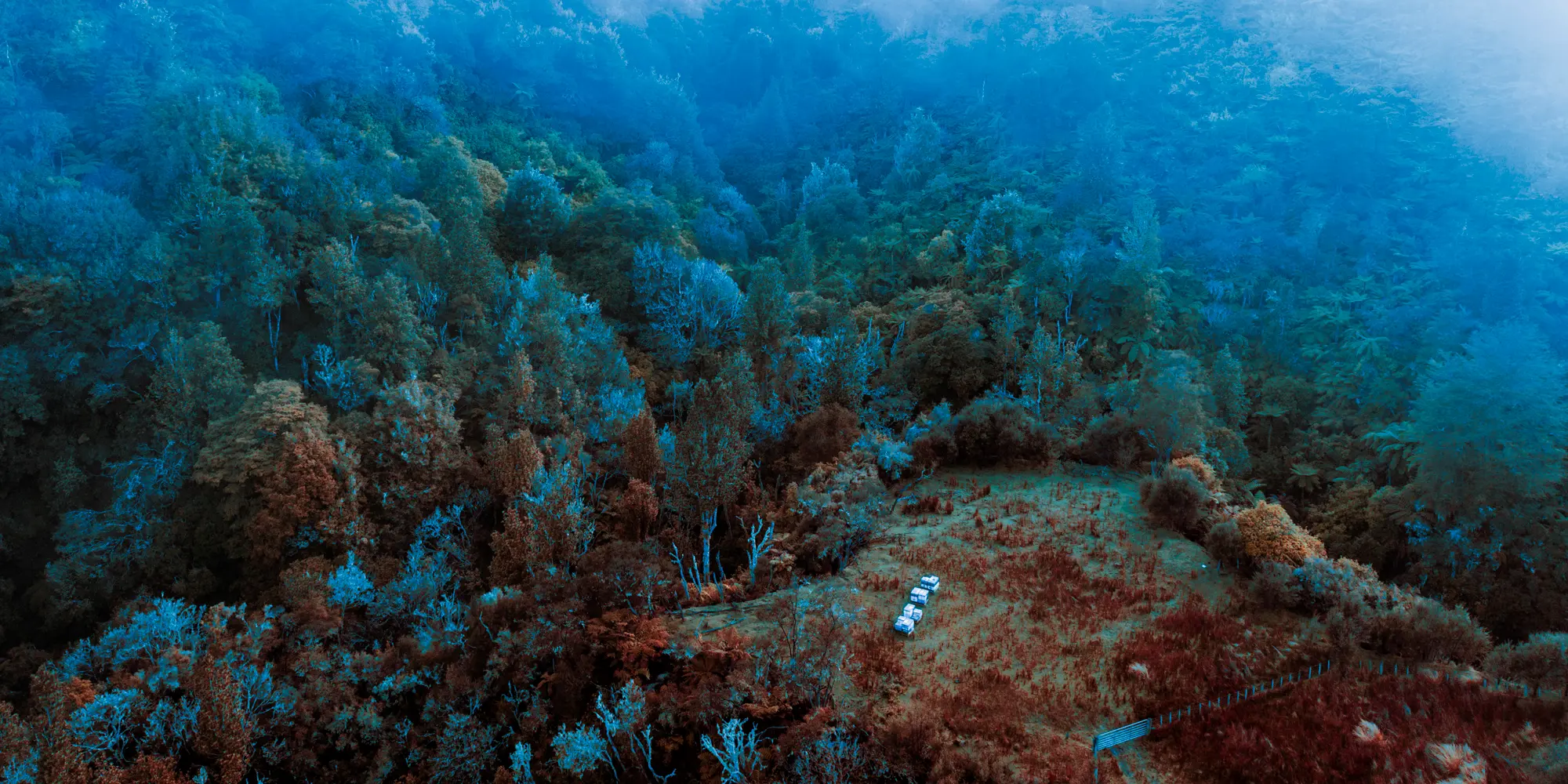 Rimunui-Day-UV-WS (webp)