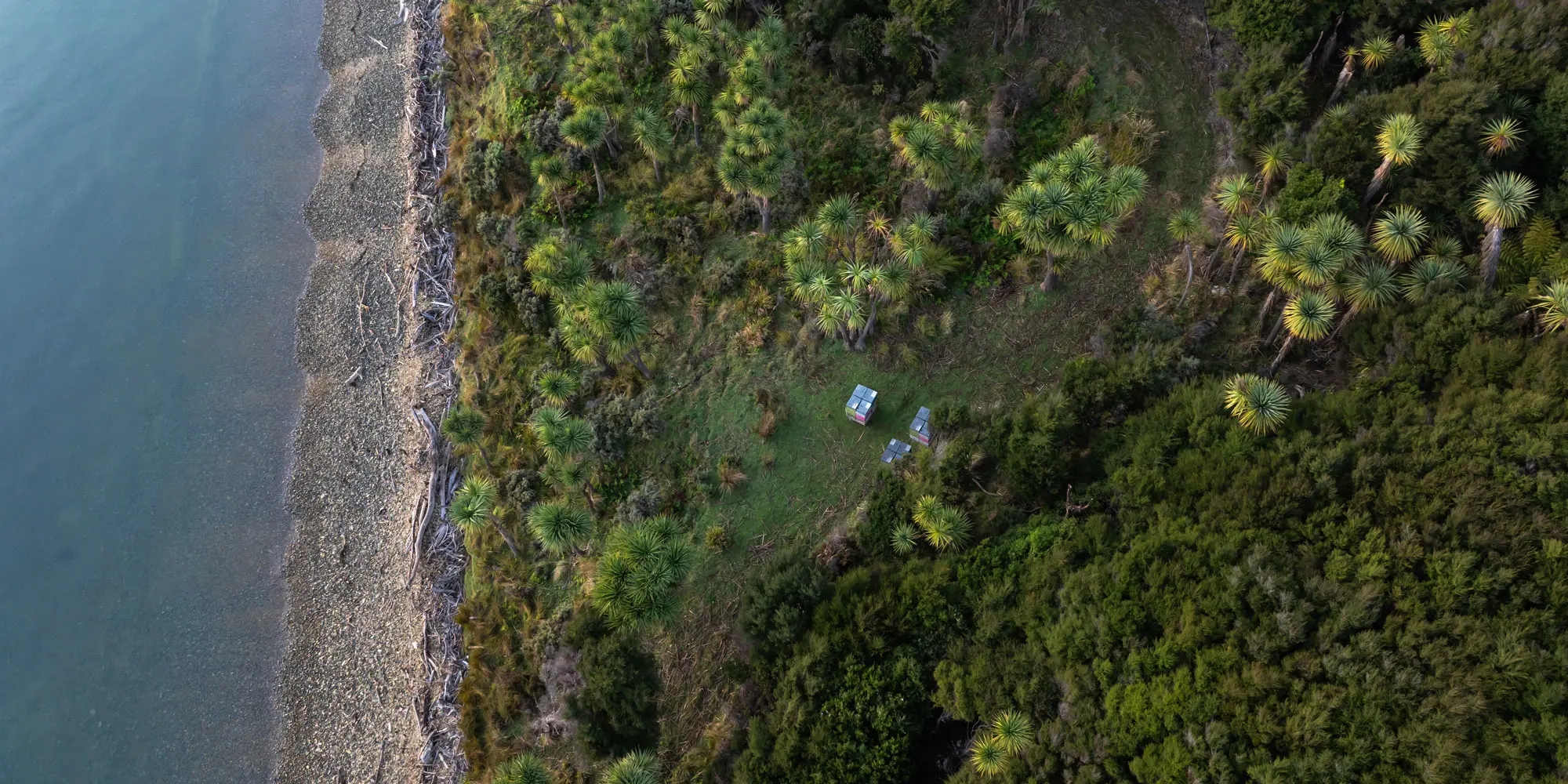 DJI 20250624082140 0024 D Pohuenui