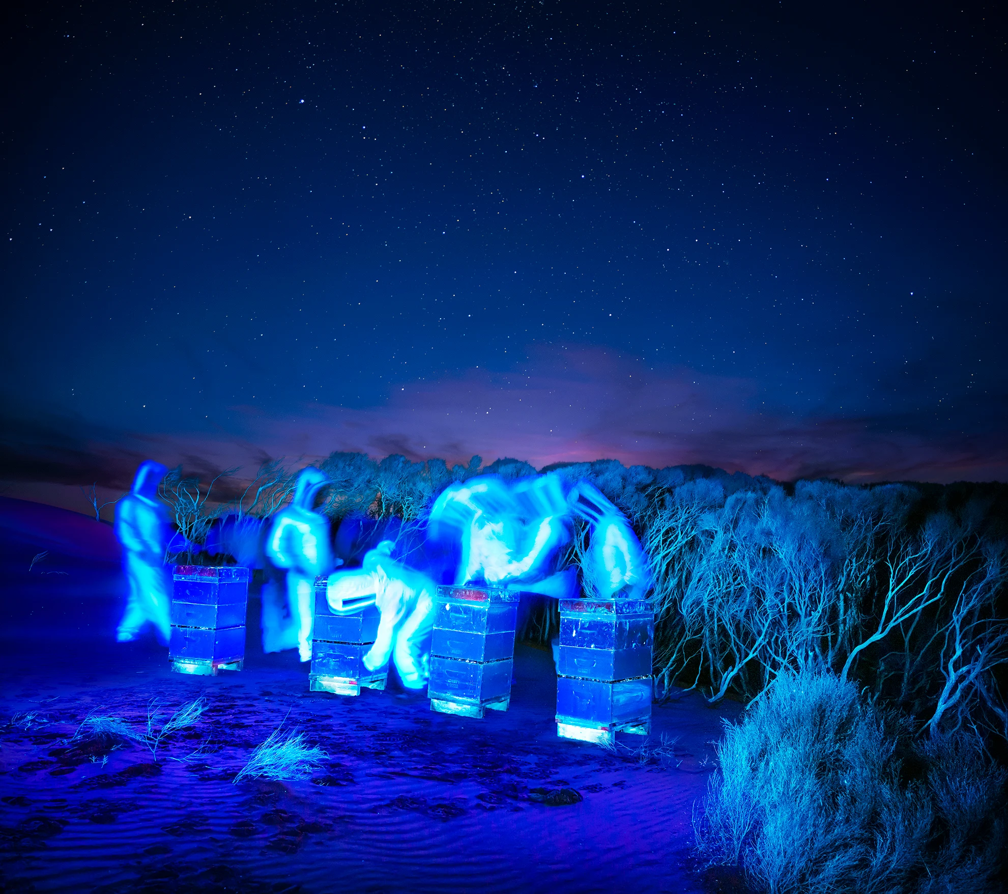 Manuka Beekeepers PoutuDunes final