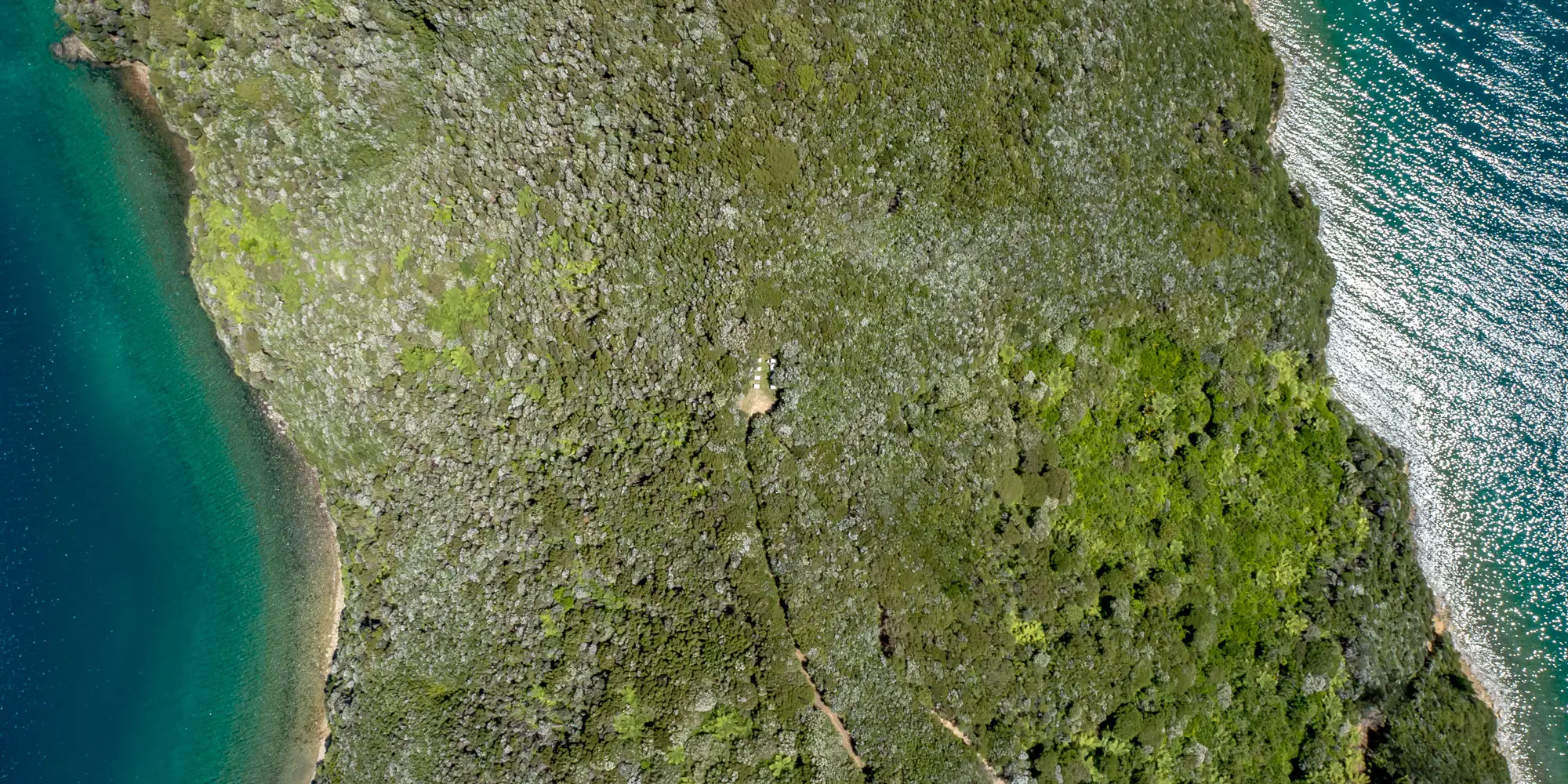 DJI 0002 Pohuenui