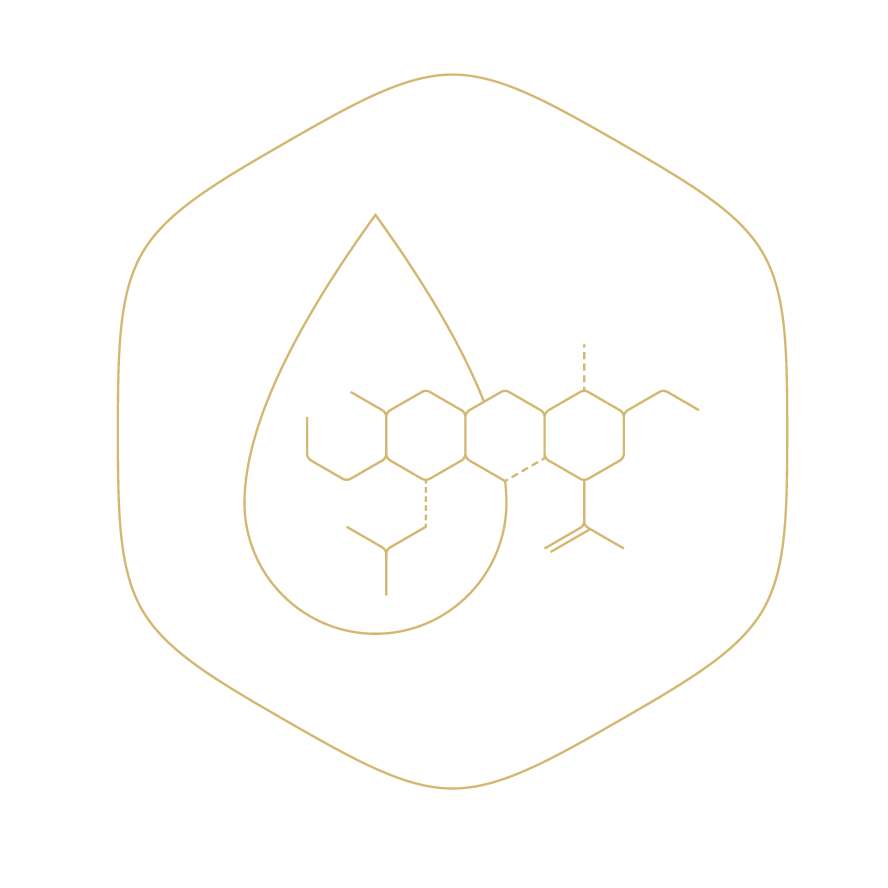 MH Icon HyaluronicAcid-Outlined-Gold-RGB