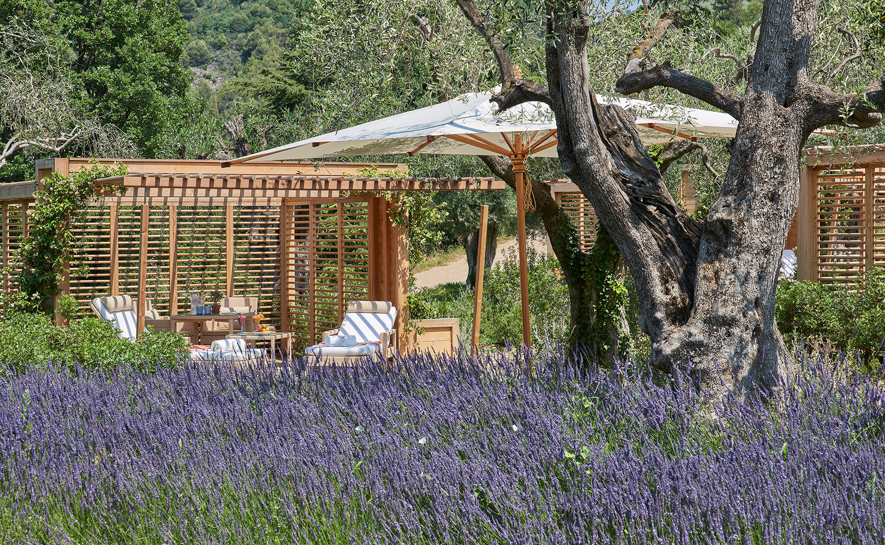 CSM - Cabanes lavende