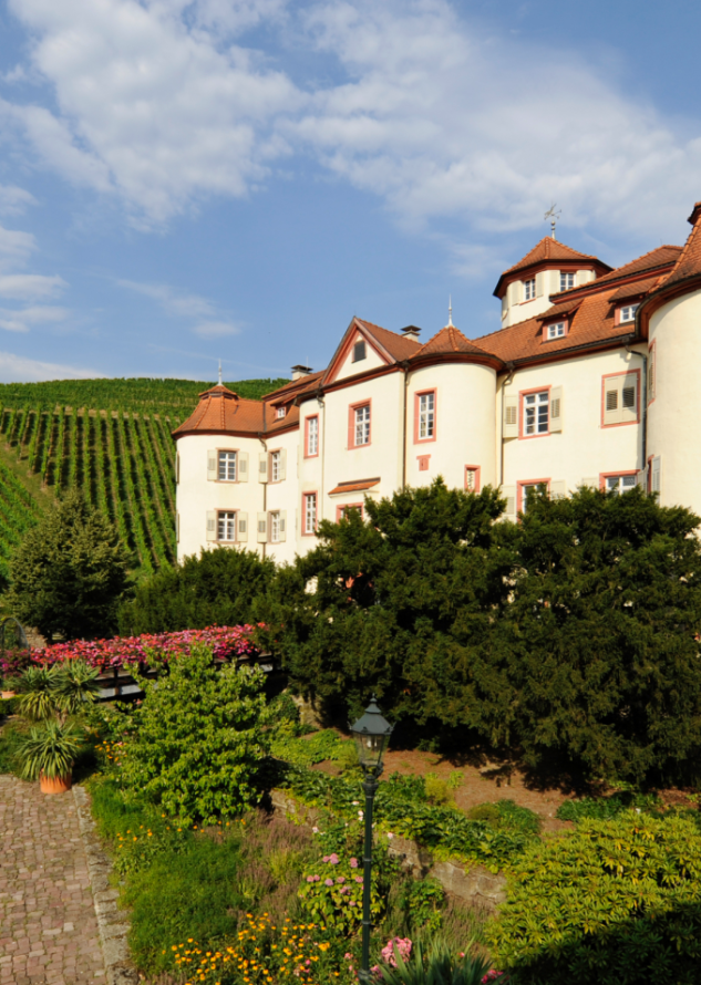 BPH - Activities - Schloss Neuweier