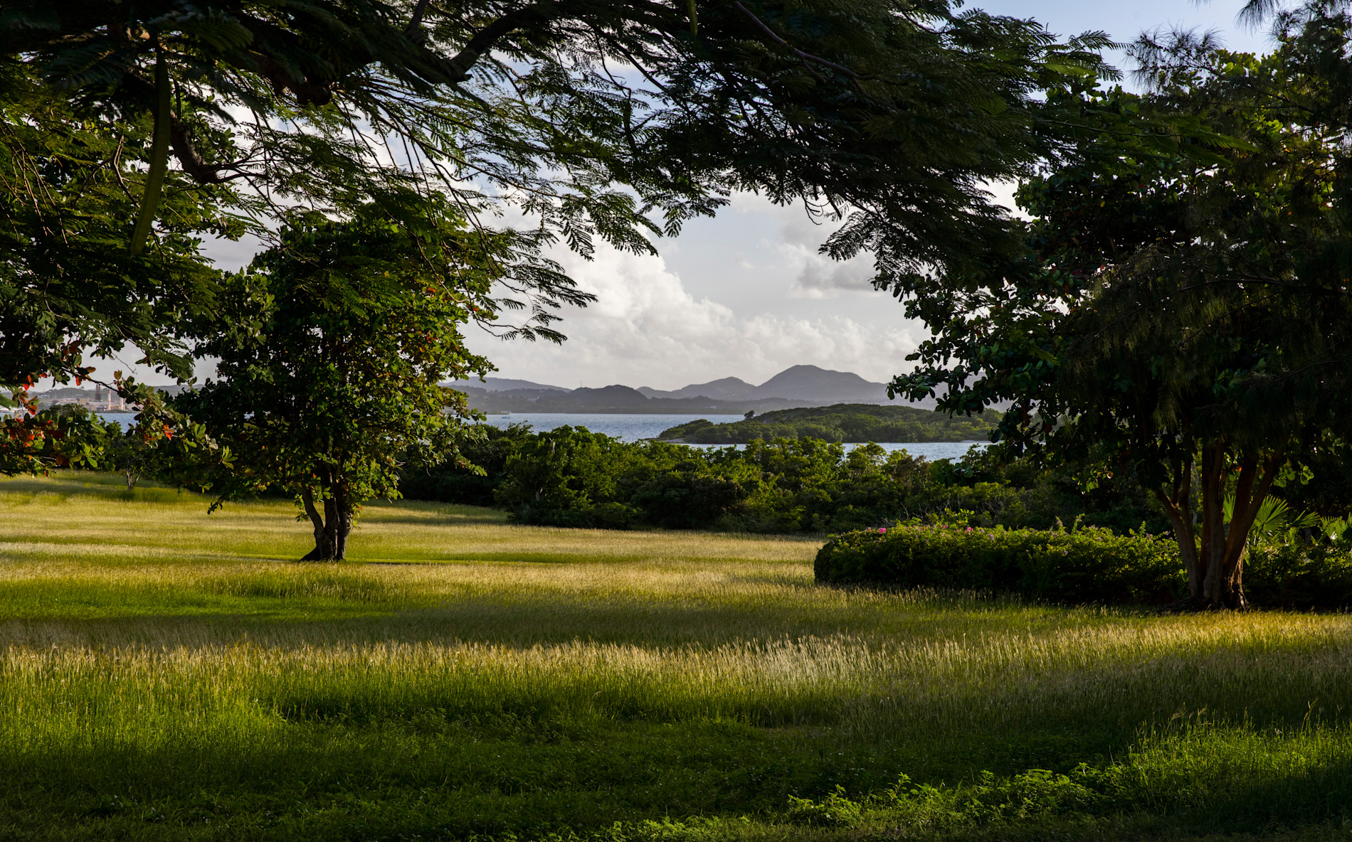 JBI - Destination - Estate House View