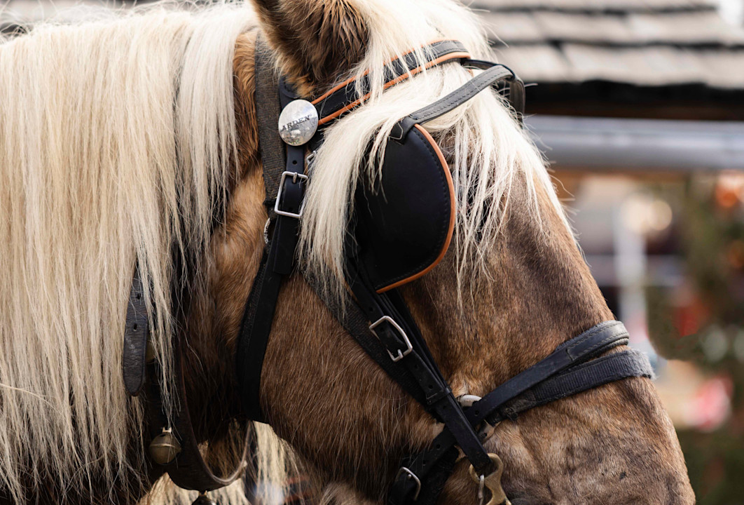 APG - Horse carriage