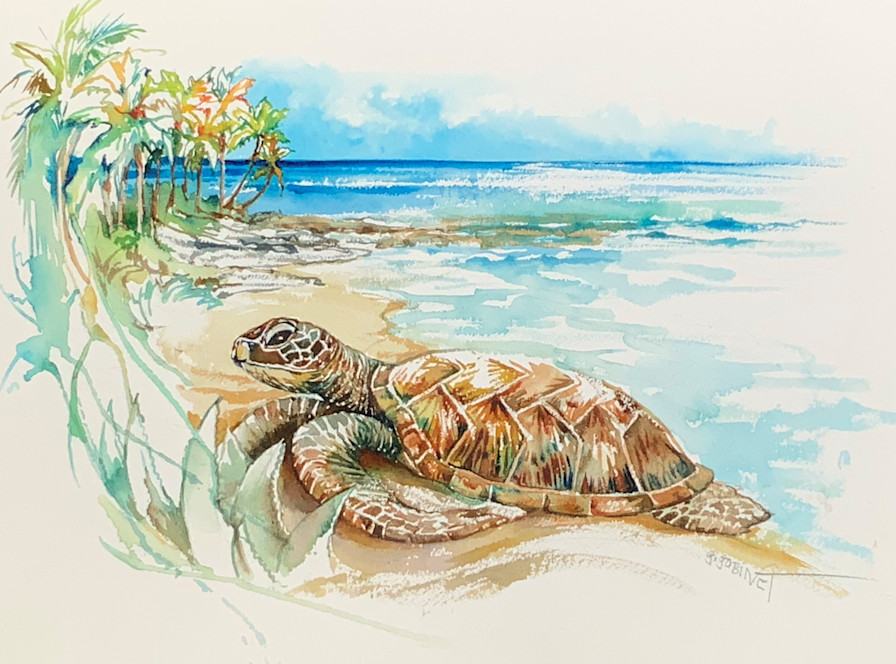 JBI - hawksbill turtle gilly painting