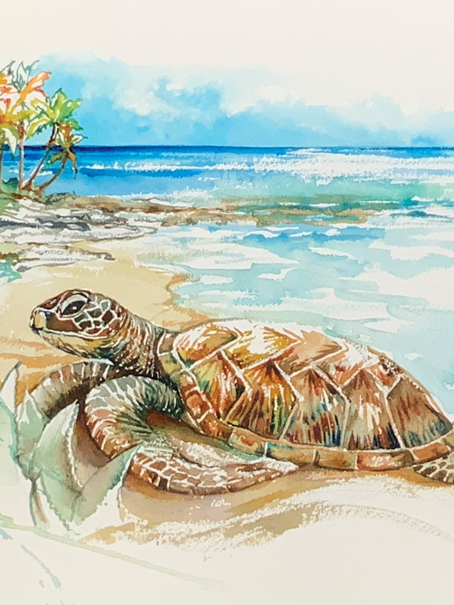 JBI - hawksbill turtle gilly painting